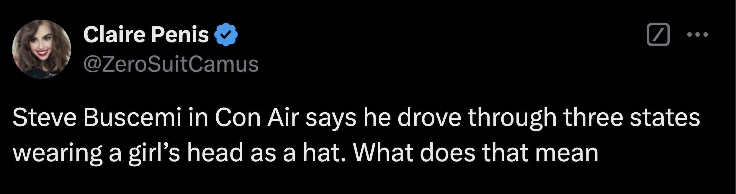 screenshot - Claire Penis Steve Buscemi in Con Air says he drove through three states wearing a girl's head as a hat. What does that mean